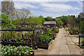 Hintons Nursery and Plant Centre