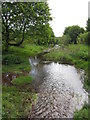 Aberdare Canal near Aberdare