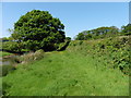 Trackbed of the former West Somerset Mineral Railway