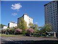 Knightswood flats from the A82, Great Western Road