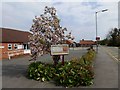 Grimoldby and Manby Village Hall