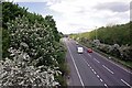 Spring on The A12