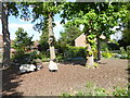 Sheep in Loxwood Diamond Jubilee Community Garden