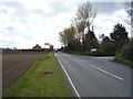 Main Road (A1064), Filby Heath