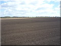 Farmland, Filby Heath