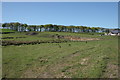 Disused quarry