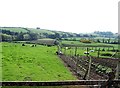 View past vegetable garden and sheep grazings towards the A24