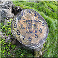 J4477 : Tree stump, Cairn Wood by Mr Don't Waste Money Buying Geograph Images On eBay