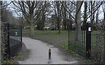 TL4856 : The grounds of Cherry Hinton Hall by N Chadwick