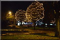 Christmas lights, New George Street