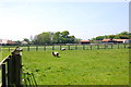 TL8917 : Paddocks on Messing Park Farm by Trevor Harris