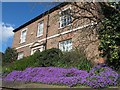 Flowers, North Street, Ripon