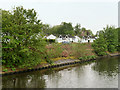 Manchester Ship Canal, Halton Moss