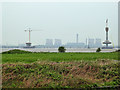 SJ5283 : View Across Wigg Island Towards the Mersey and the New Bridge by David Dixon