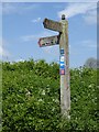 Multi-faceted signpost at Hart Hill Farm