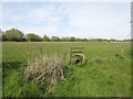 Stile in the grass