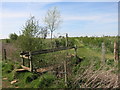 Footpath Bridge near Ham Court