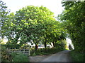 Entering Flawborough from the north