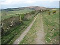 SY6287 : Bridleway on Bronkham Hill by Philip Halling