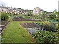 Allotments - Longley Road