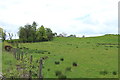 Farmland at Over Gree