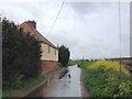 Rye Street, near Cliffe