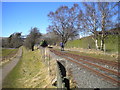 NY6851 : North end of the South Tynedale Railway, Lintley by Richard Vince