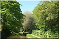 Mill leat, Cullompton