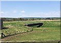 View from a Stirling-Perth train - Bridge over Allan Water