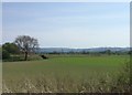 NO1119 : View from a Stirling-Perth train - railway and farmland near Hilton Farm by Nigel Thompson