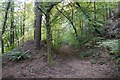 Old tramway, Barnedge Wood