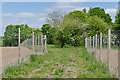 Path through the solar farm