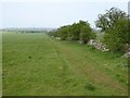 SP0225 : Cotswold Way (also Winchcombe Way) west of Belas Knap by David Smith