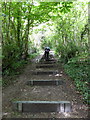 Climbing the steps at Trosley Country Park