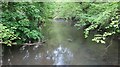 The Mells River just downstream from its junction with the Egford Brook