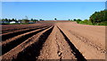 Arable land by Kings Acre Road