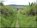 Bridle path at Mutton Dingle