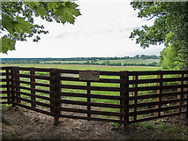 TQ2997 : New Fence, Trent Park, Enfield by Christine Matthews