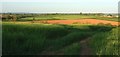 Farmland east of Holbrook Farm