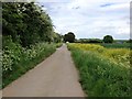 Parbrook Road, near High Halstow