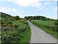 View northwards along Tannaghmore Road