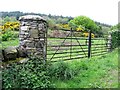 Traditional Ulster pillared gateway on Tannaghmore Road