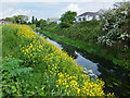 Beverley and Barmston Drain