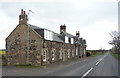 Houses, Langrig