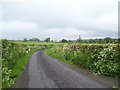 Road near Glasfryn Ford, St Clears