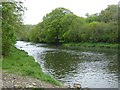 River Taw at Umberleigh