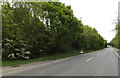 TL9828 : A134 Nayland Road, Great Horkesley by Geographer