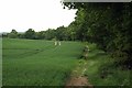 Bridleway Parallel to Margaretting Rd