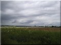 Field by Mill Lane, Benover