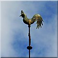 SP2304 : Weather vane, Church of St Peter, Filkins by Brian Robert Marshall